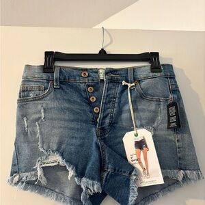 Celebrity Pink Blue Distressed Jean Shorts